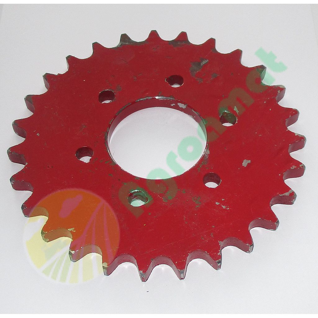 Pinion