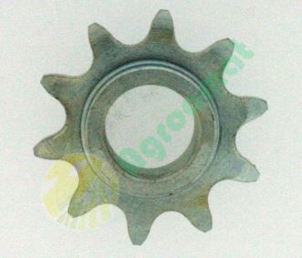 Pinion Z10