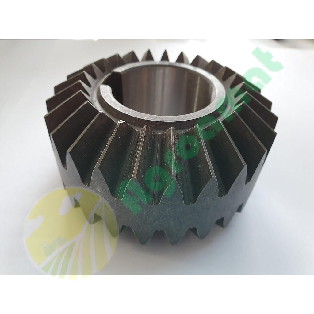 Pinion Z-25/25