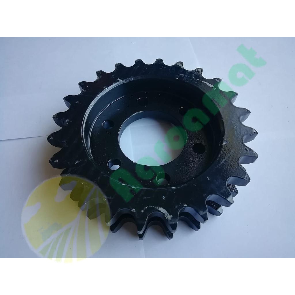 Pinion Dublu Z-24