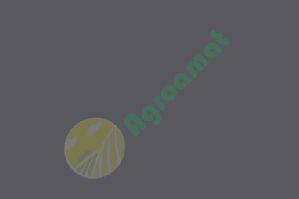 Vopsea Gri Inchis MF 0.75l