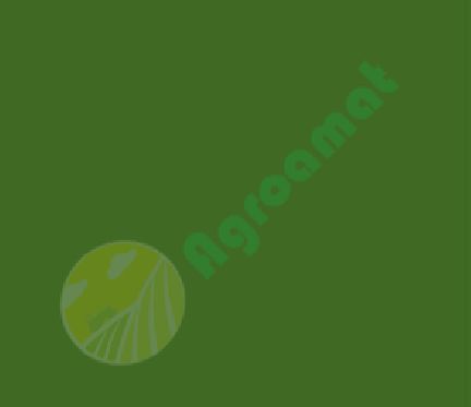 Vopsea Verde Amazone 0.75l