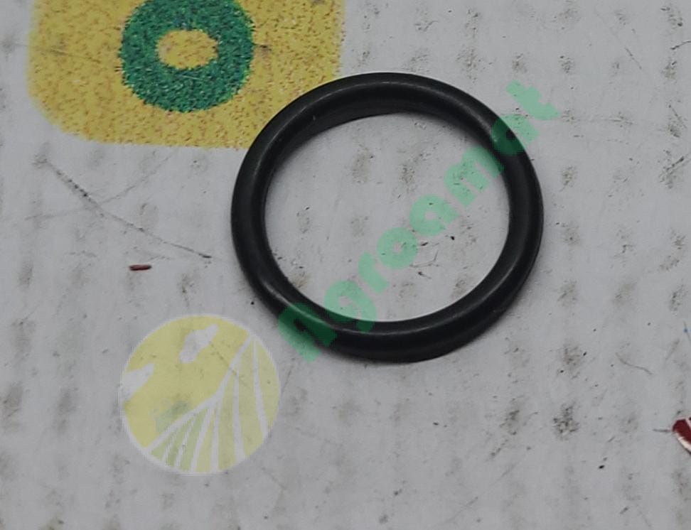 O-Ring