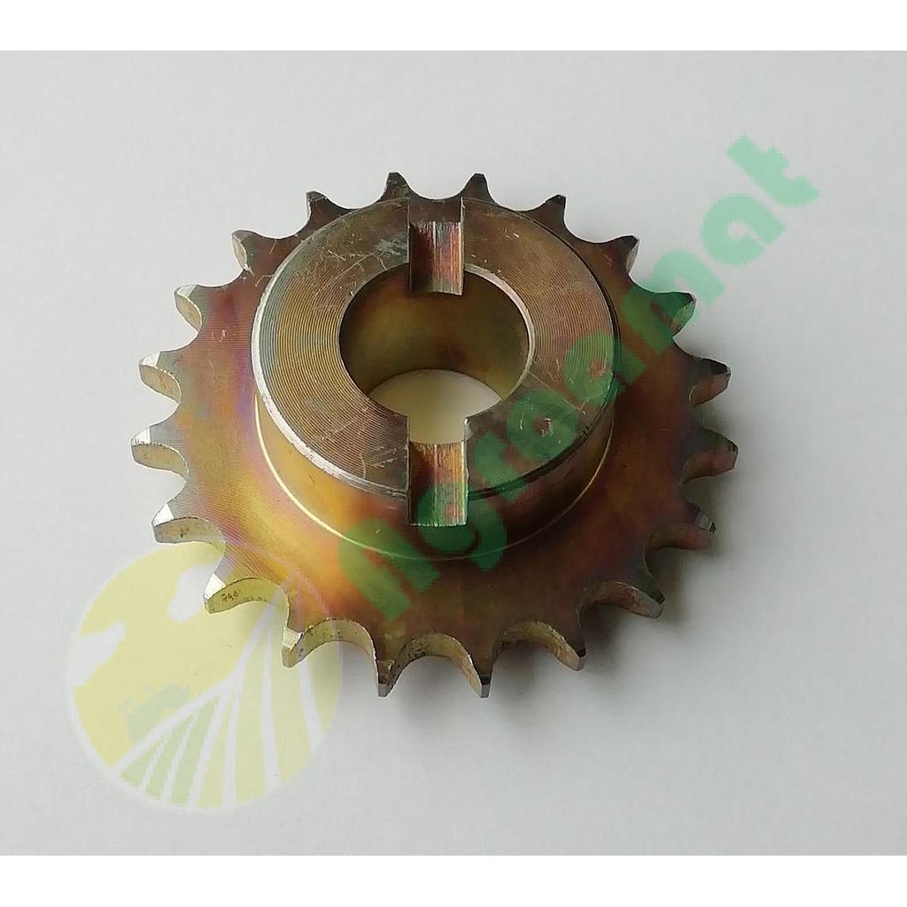 Pinion Z-20 AC820813