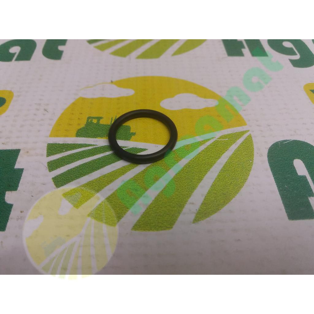 O-Ring T13119