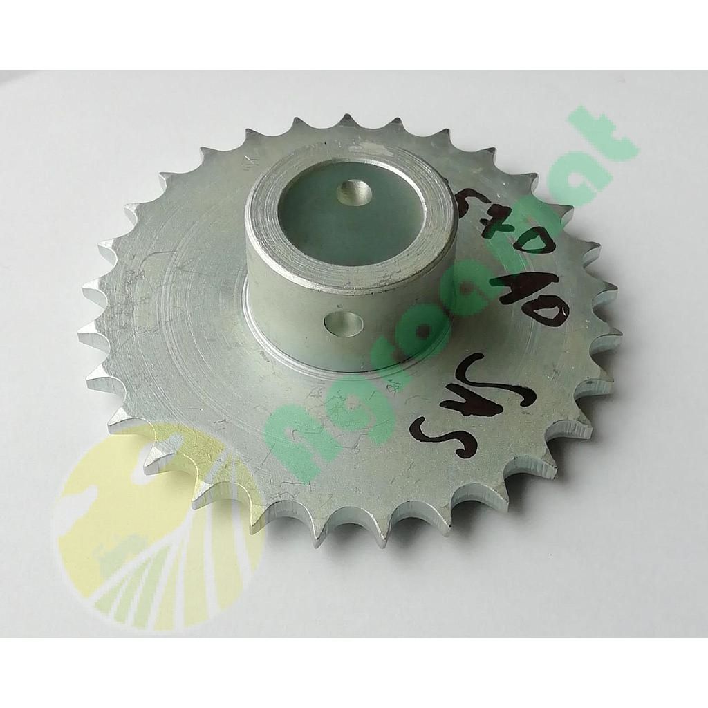 Pinion Z-29 N00570A0