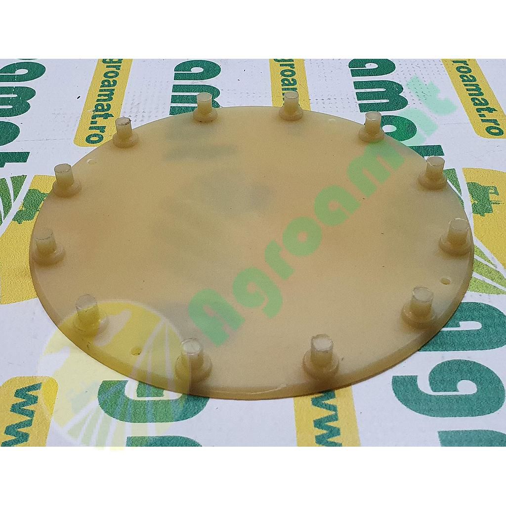 Agitator 12 Pinteni AC819903