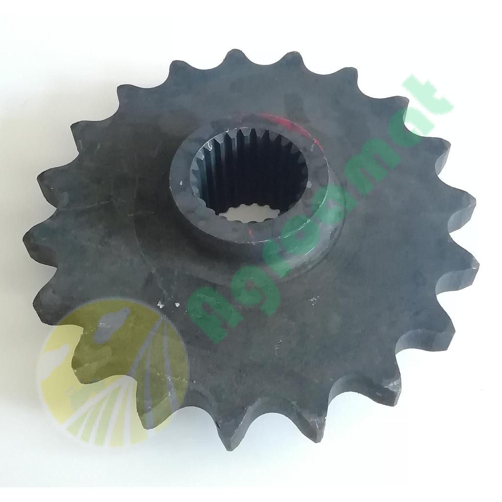 Pinion Z-19 1755.25.01.05