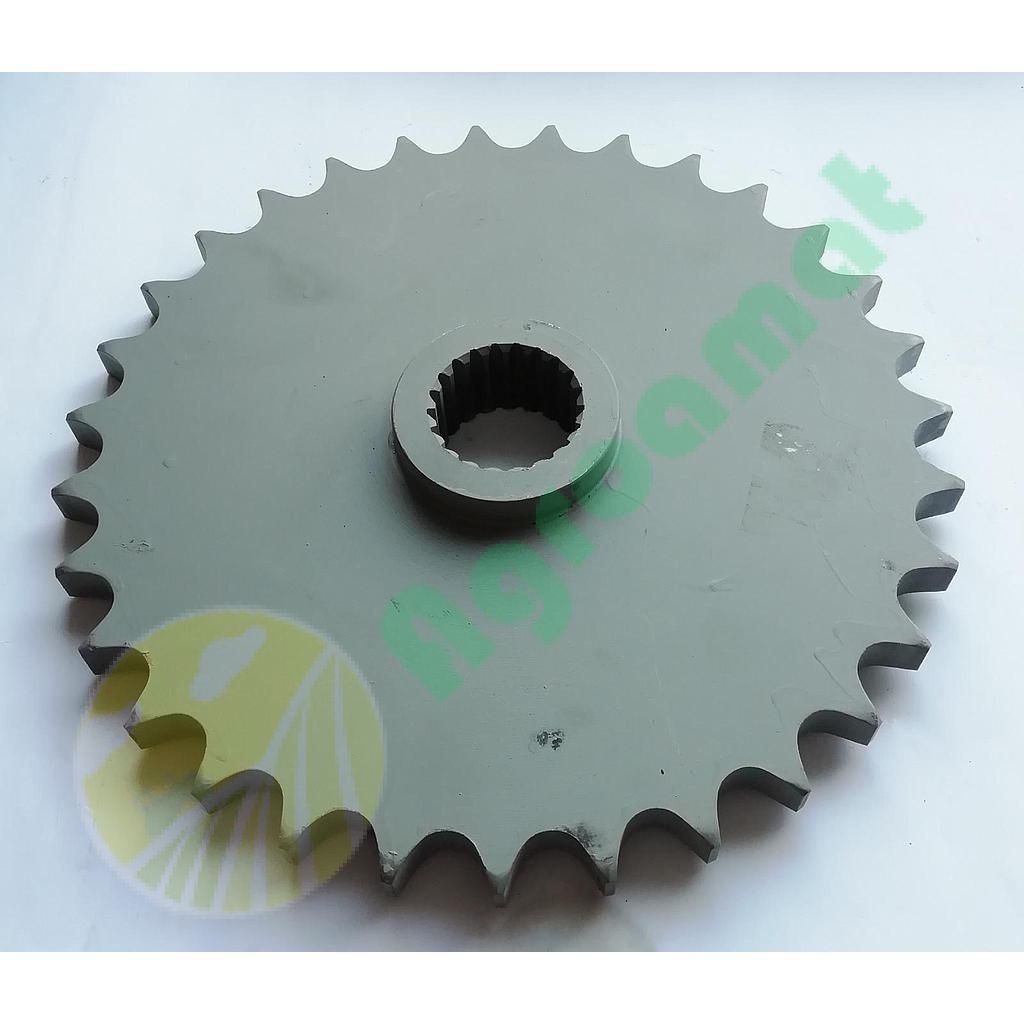 Pinion Z-31 VGWA02085