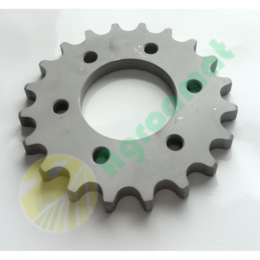 Pinion Z-20  VG13813004