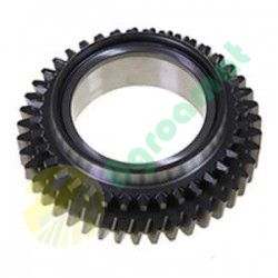 Pinion