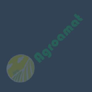 Vopsea Claas Gri 0.75l