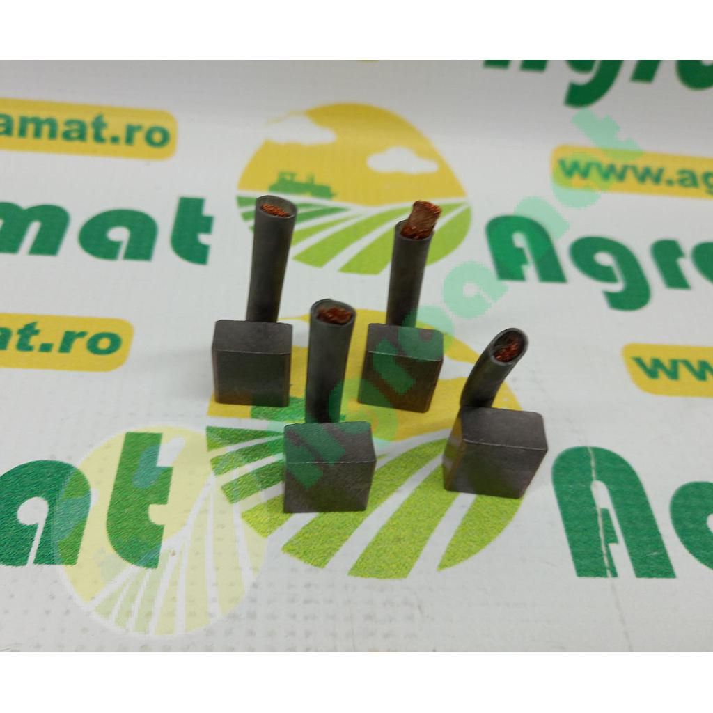 Carbuni electromotor