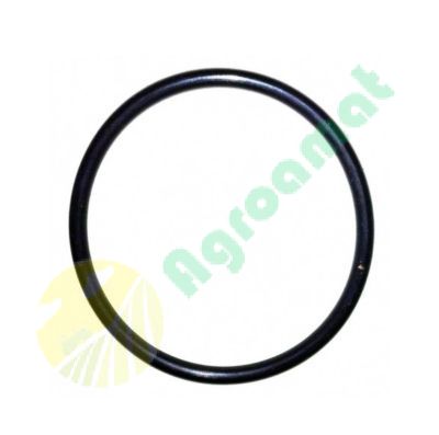 Inel Org 712323.1a 46.2x3mm