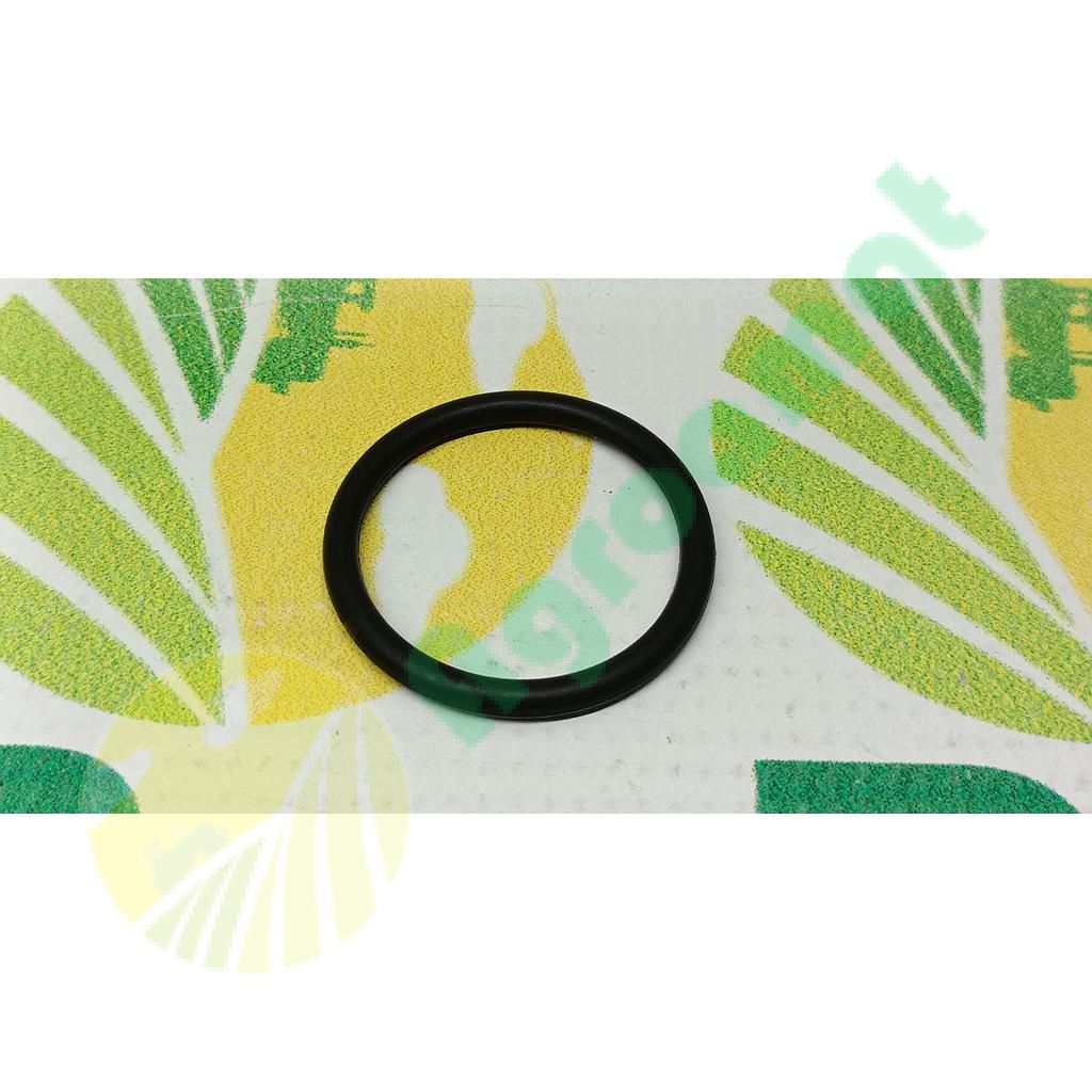 O-Ring R71732