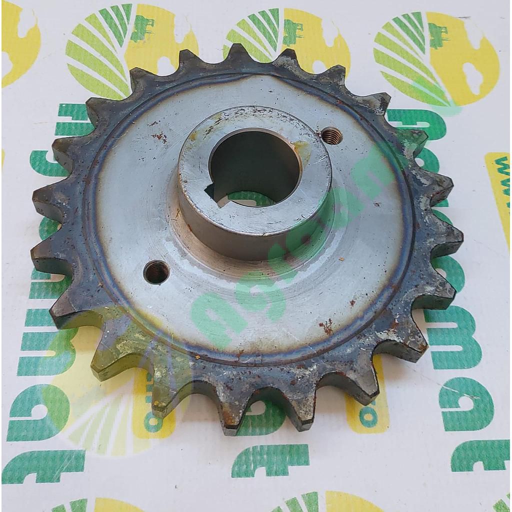 Pinion Z-21