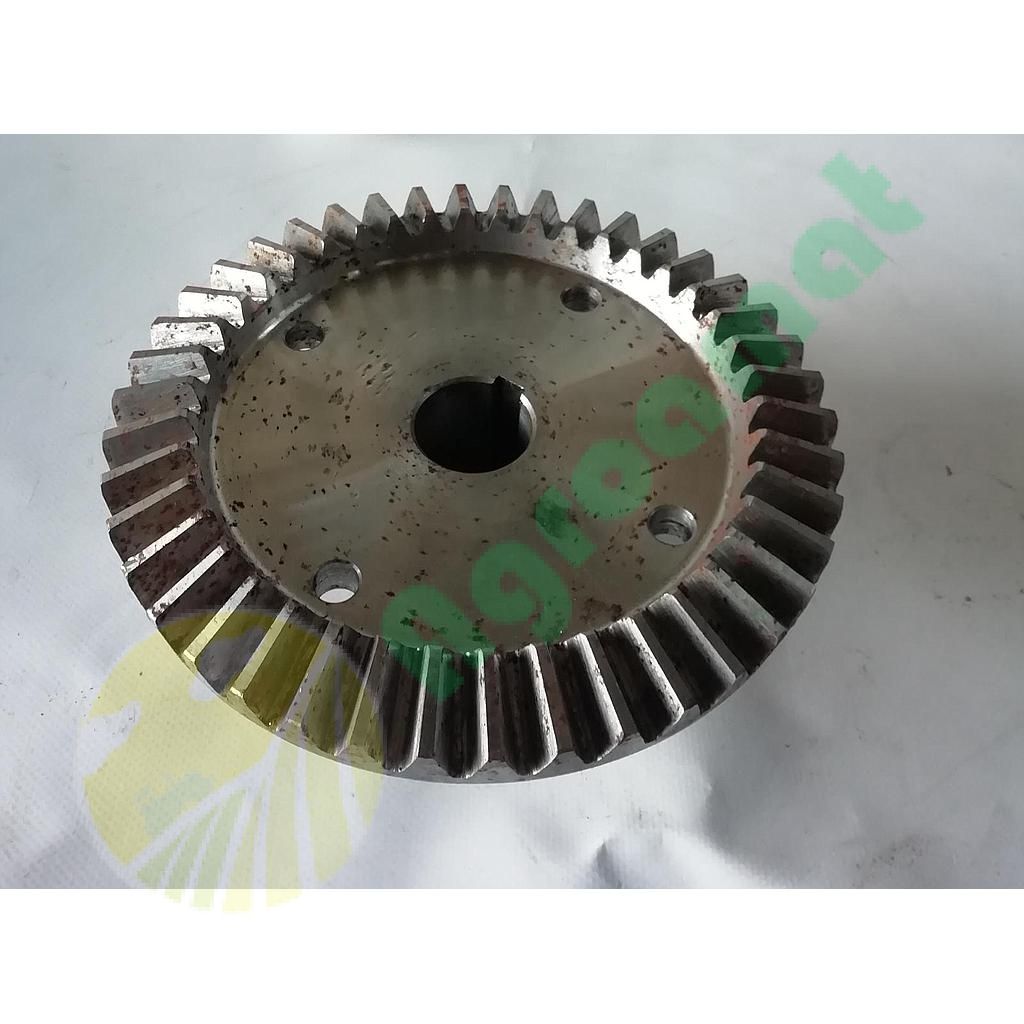Pinion 813561 Z42