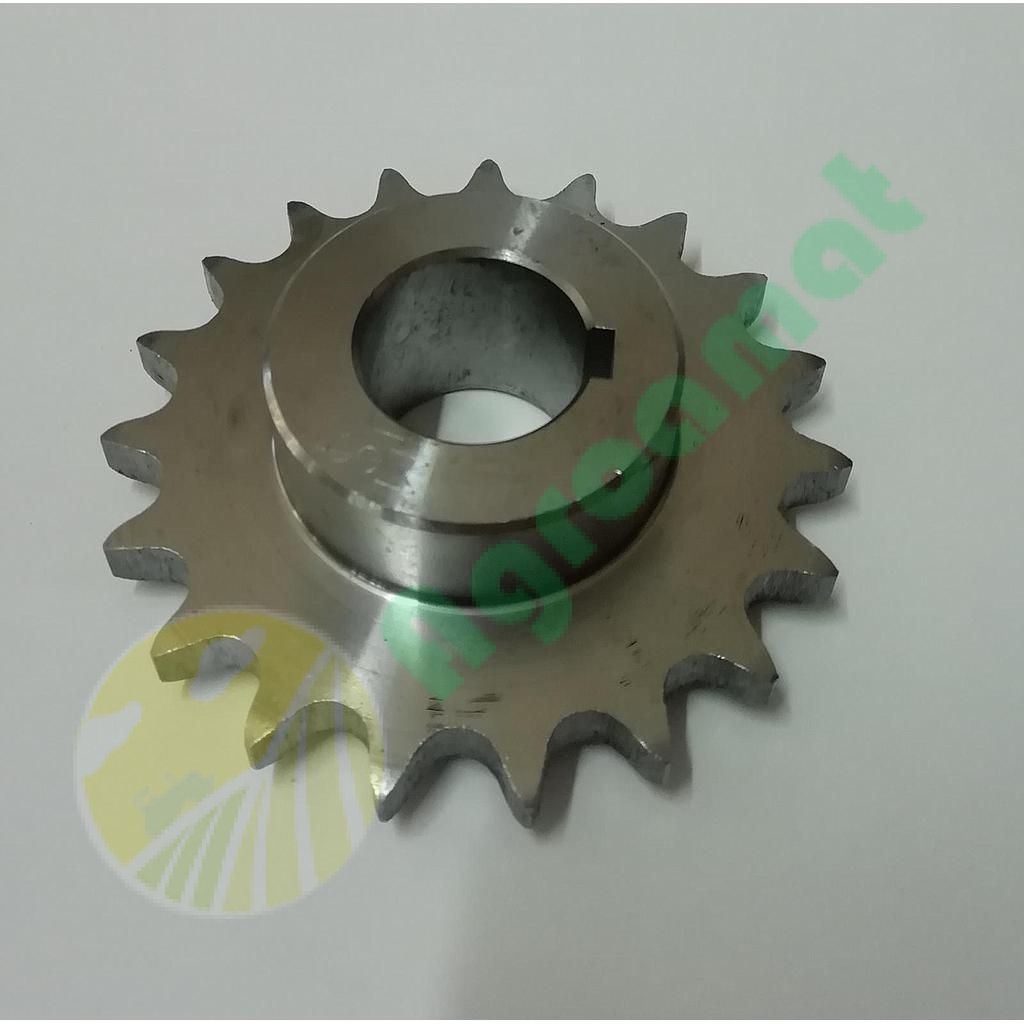 Pinion z-19