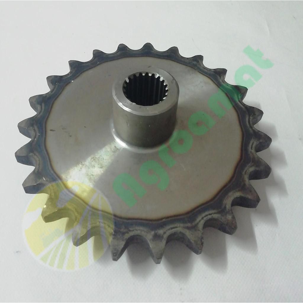 Pinion Org Z-23