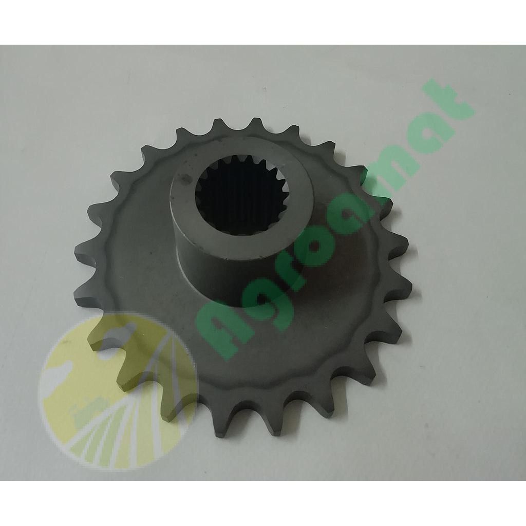 Pinion Org Z-22