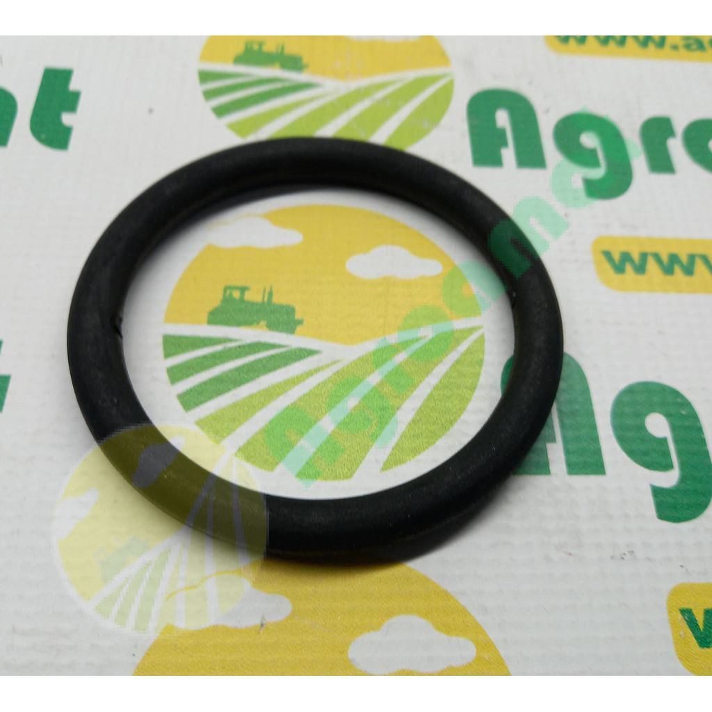 O-Ring 80x100