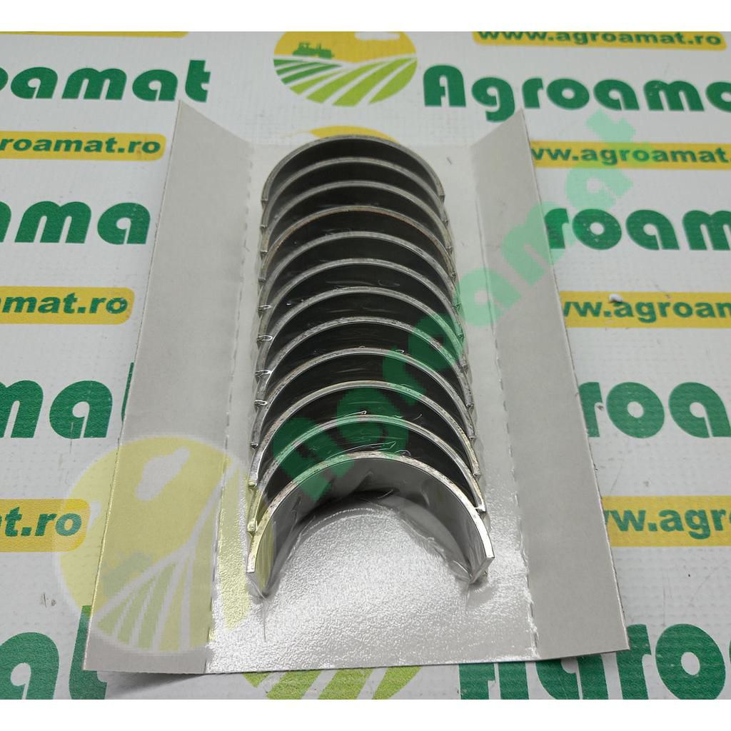 Cuzineti Biela OM352