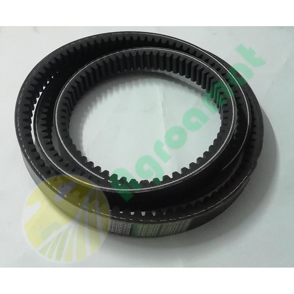 Curea Optibelt Danturata