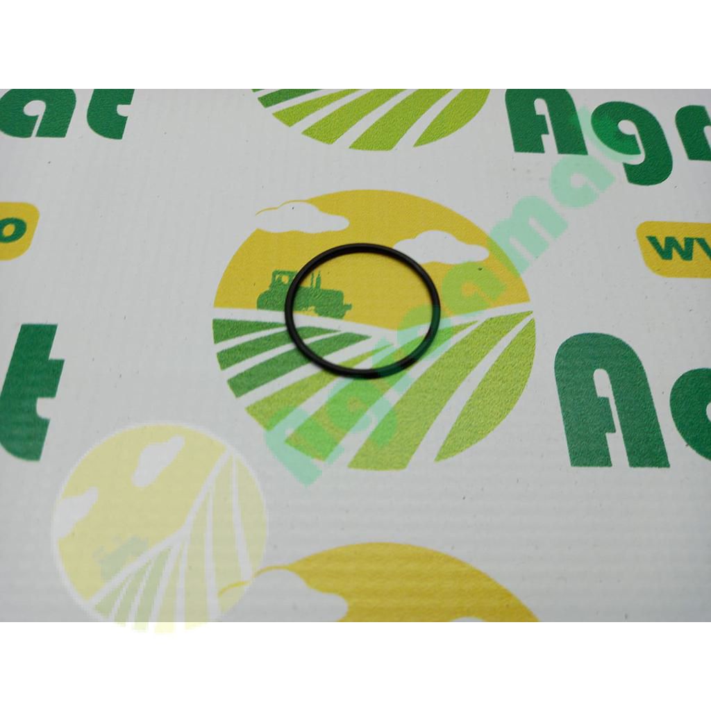 O-Ring R106663