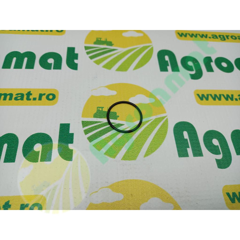 O-Ring R62070