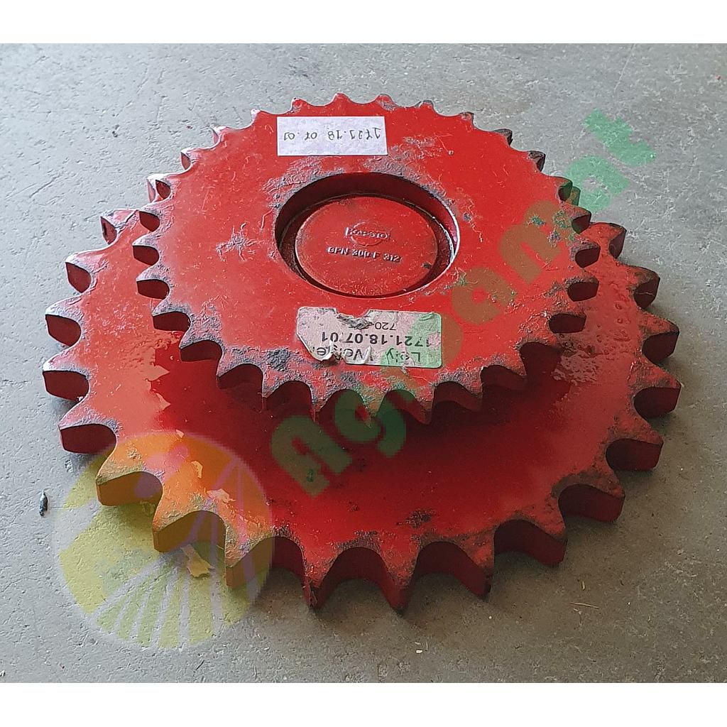 Pinion 1721.18.07.01