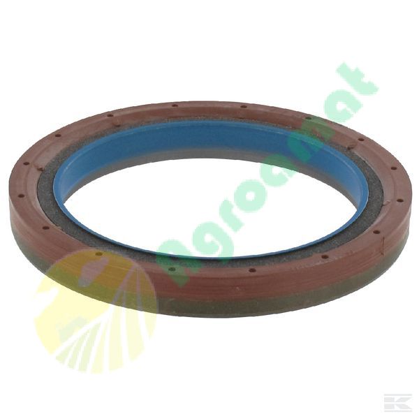 Rear crankshaft oil seal