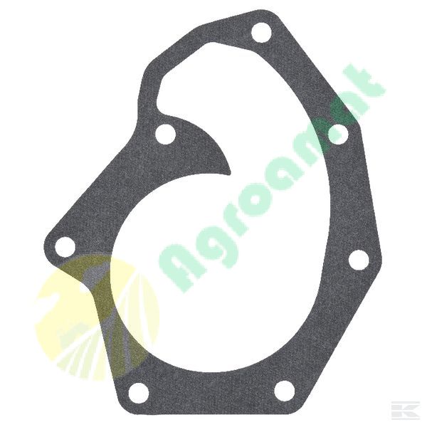 Water pump gasket