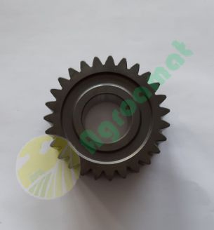 Pinion 0.255.4644.0/20