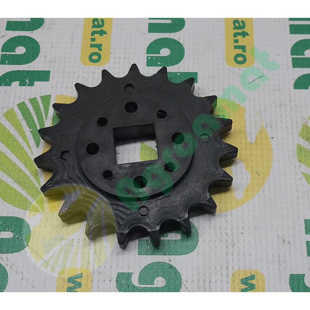 Pinion Z-19 G66248164R