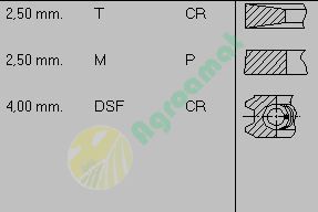 Set Segmenti STEYR 100mm