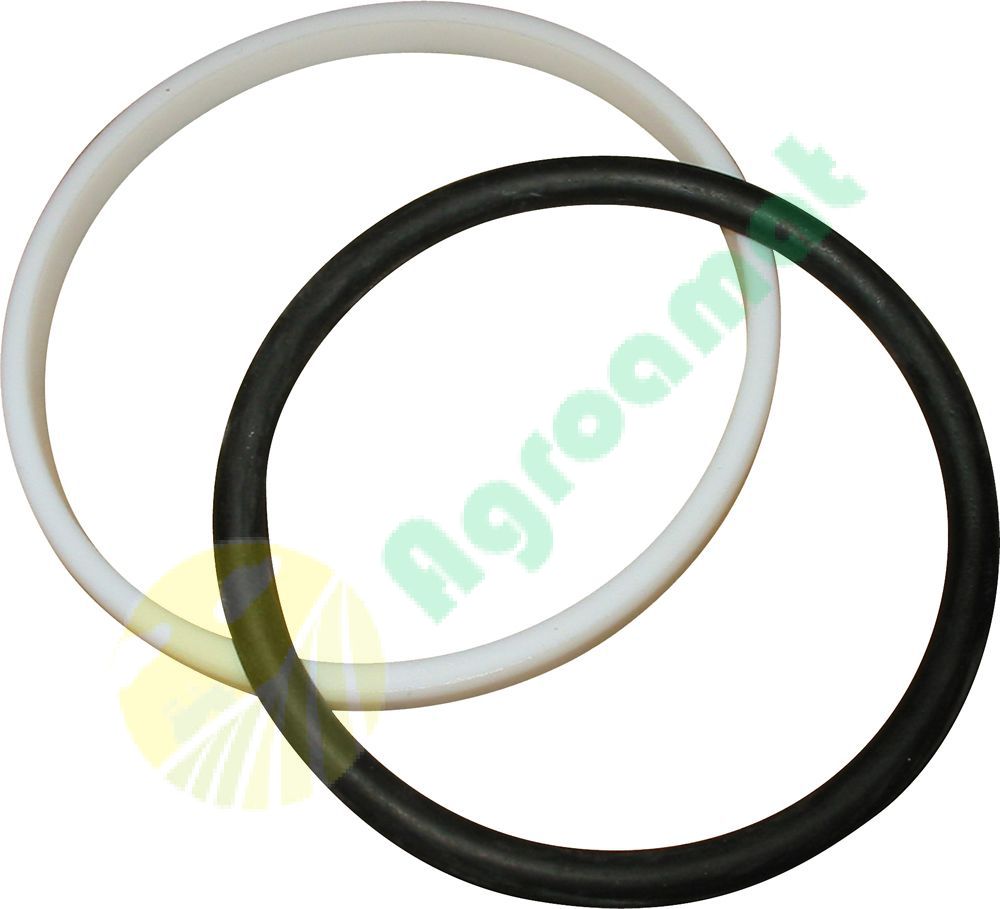 Set Oring 1665684M91