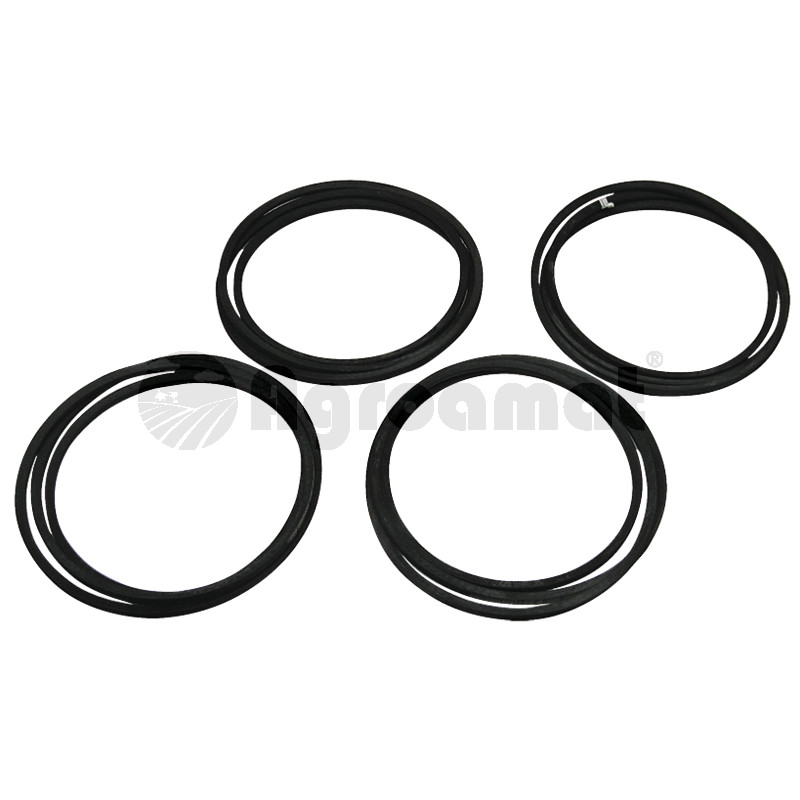 Set de curele trapezoidale