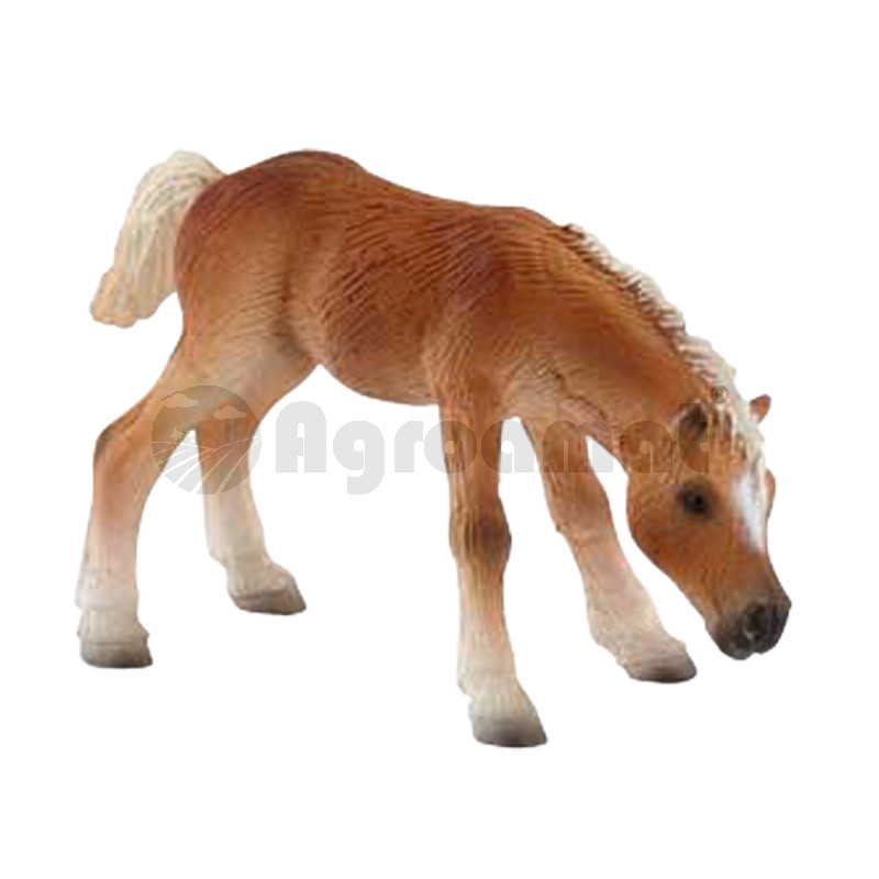 Manz Haflinger