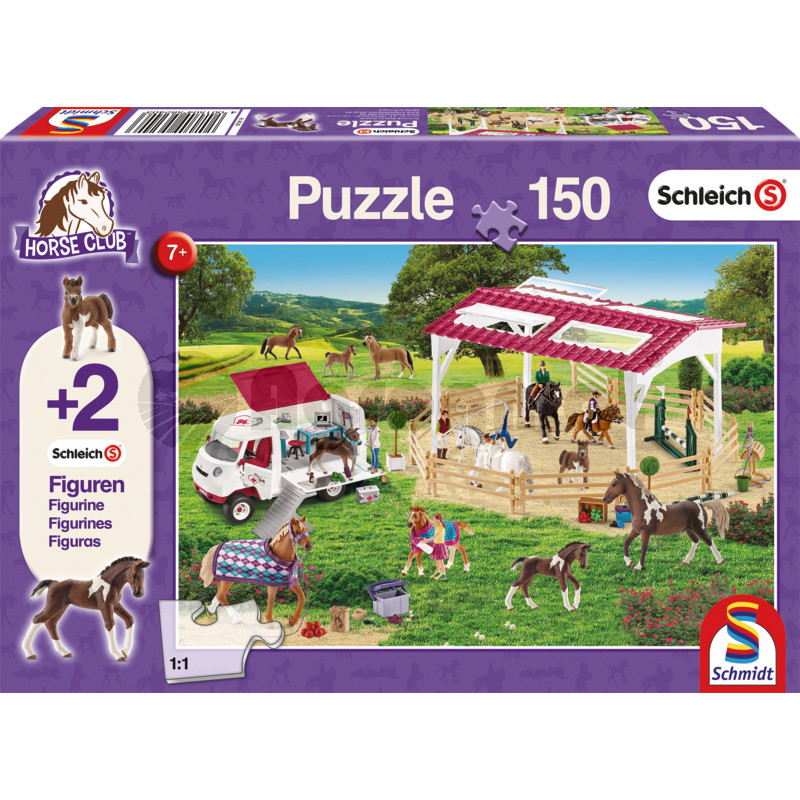 Scoala de calarie si doctorita veterinara, 150 de piese