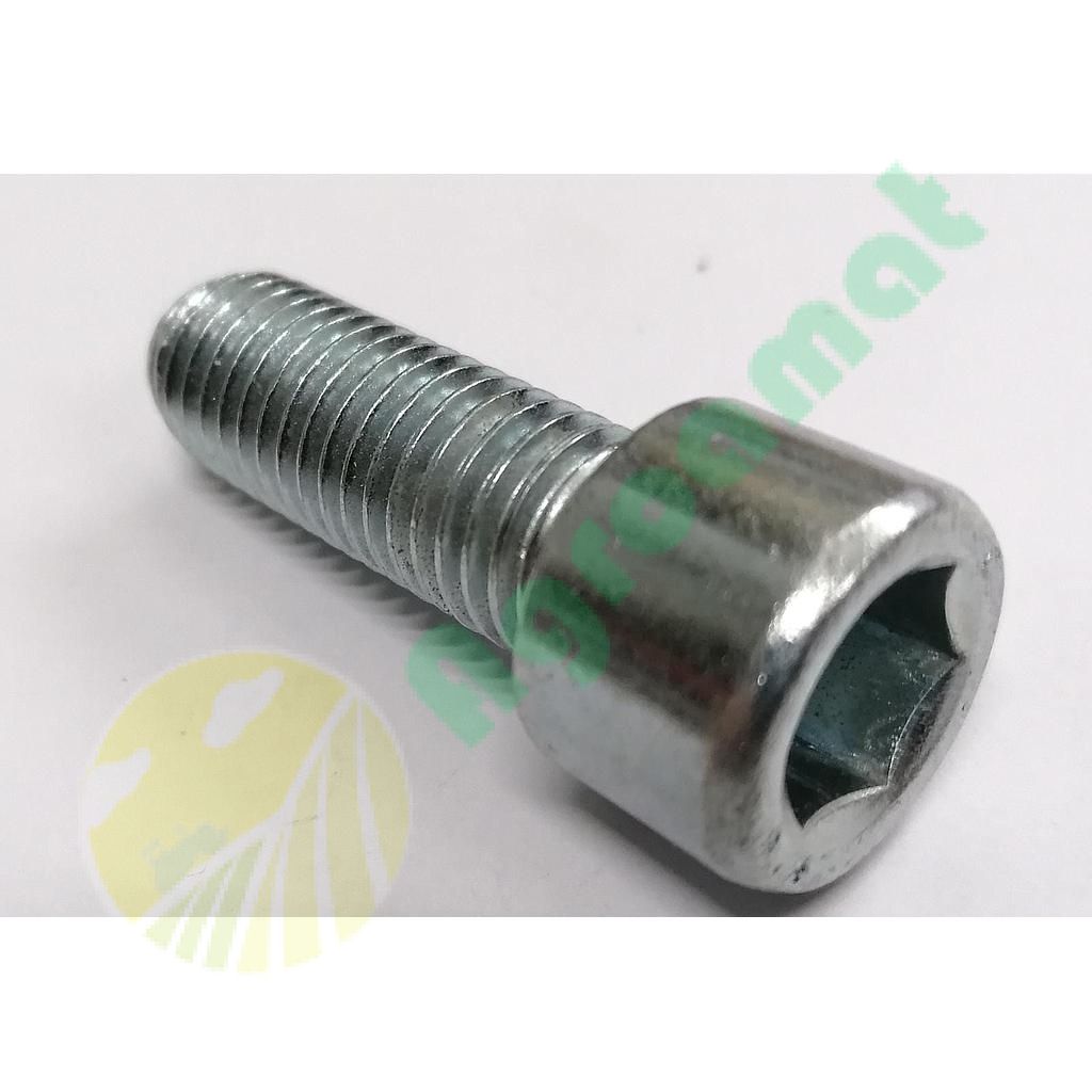 Surub cu locas de imbus M14X40