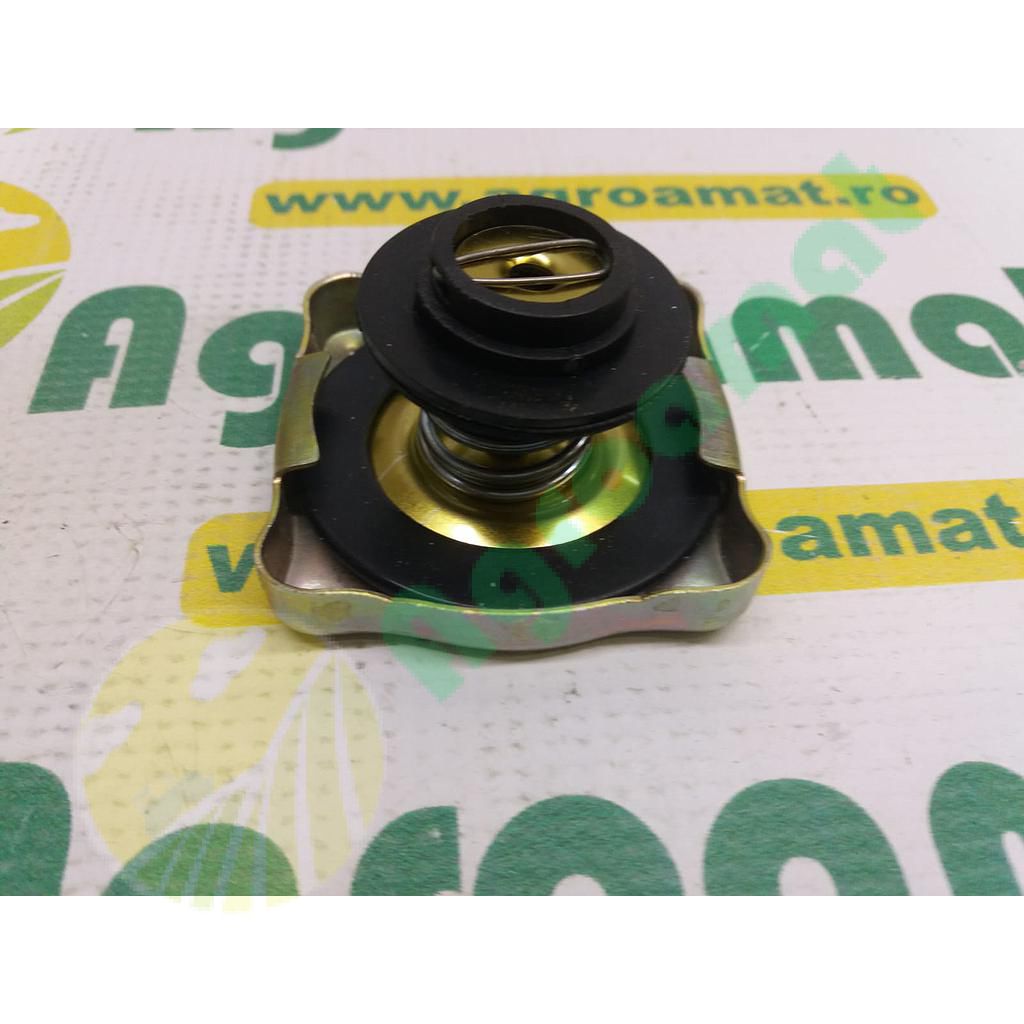 Capac radiator Z29121