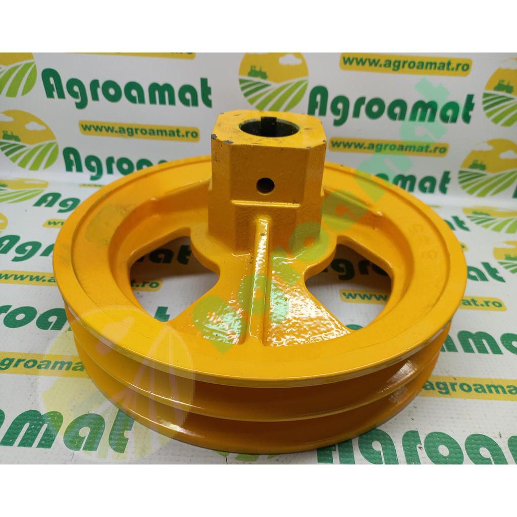 Fulie 89813161-89833947- (Ø 270mm)