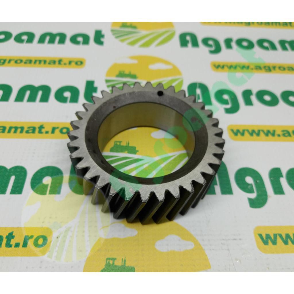 Pinion F285200310020