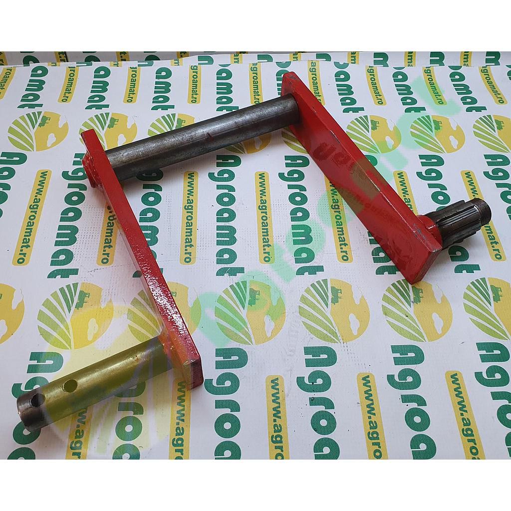 Arbore Furci Alimentare 48.06.054