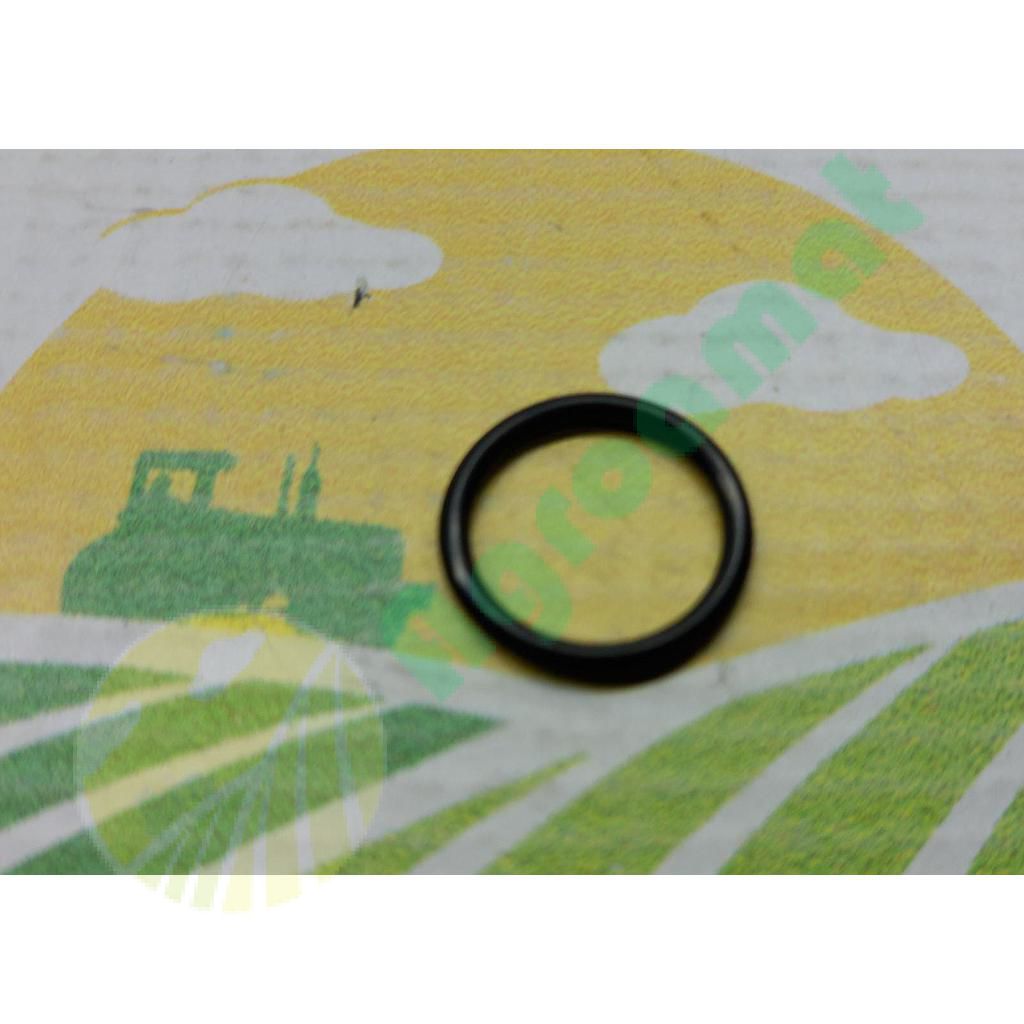 O-Ring ORG