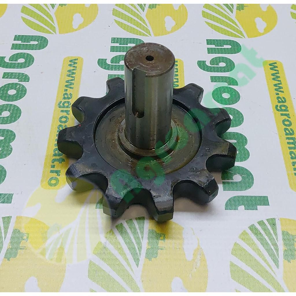 Pinion 1.351.029