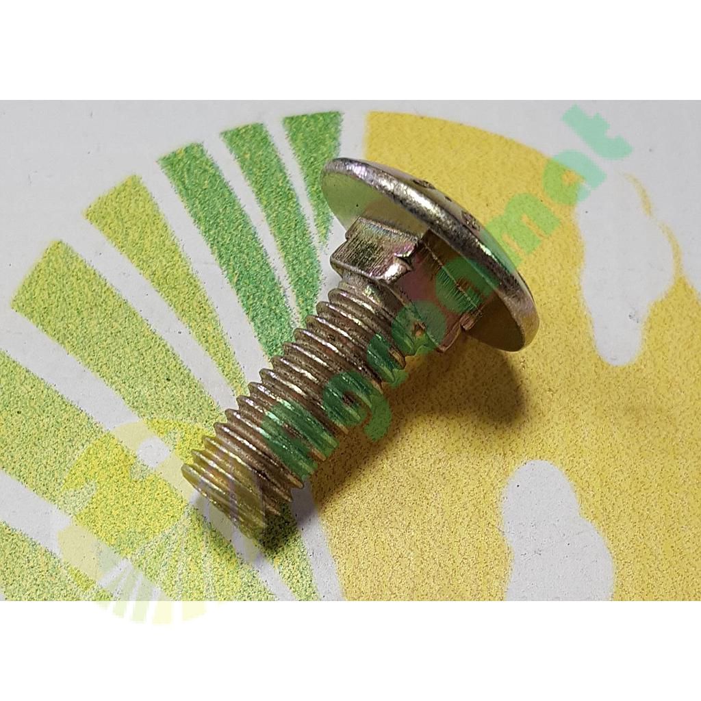 Surub 10x30 8.8