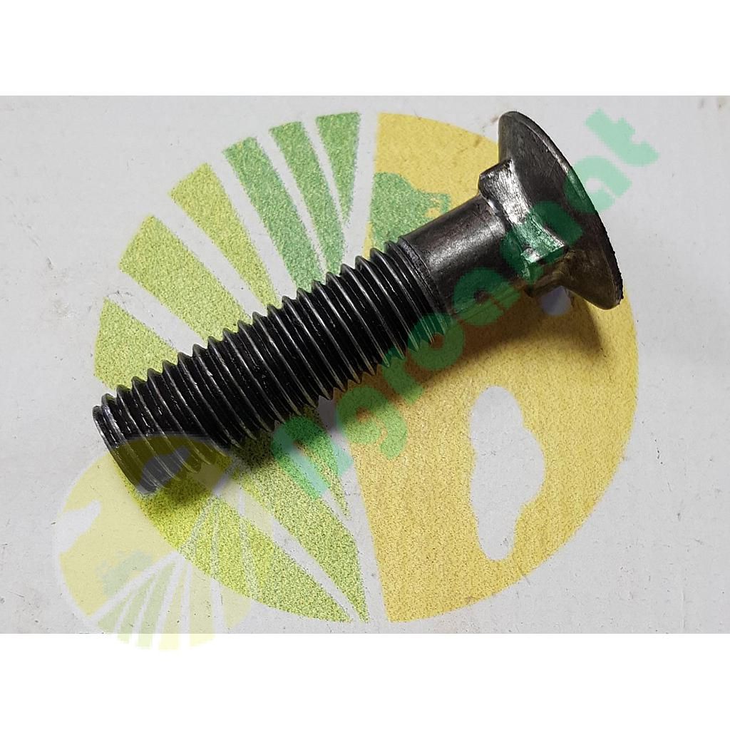 Surub 14x60