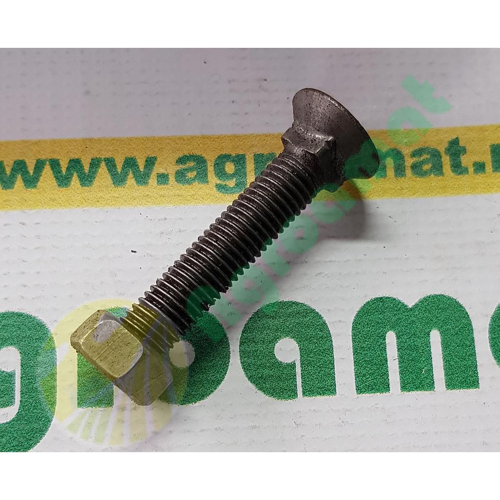 Surub 12x70