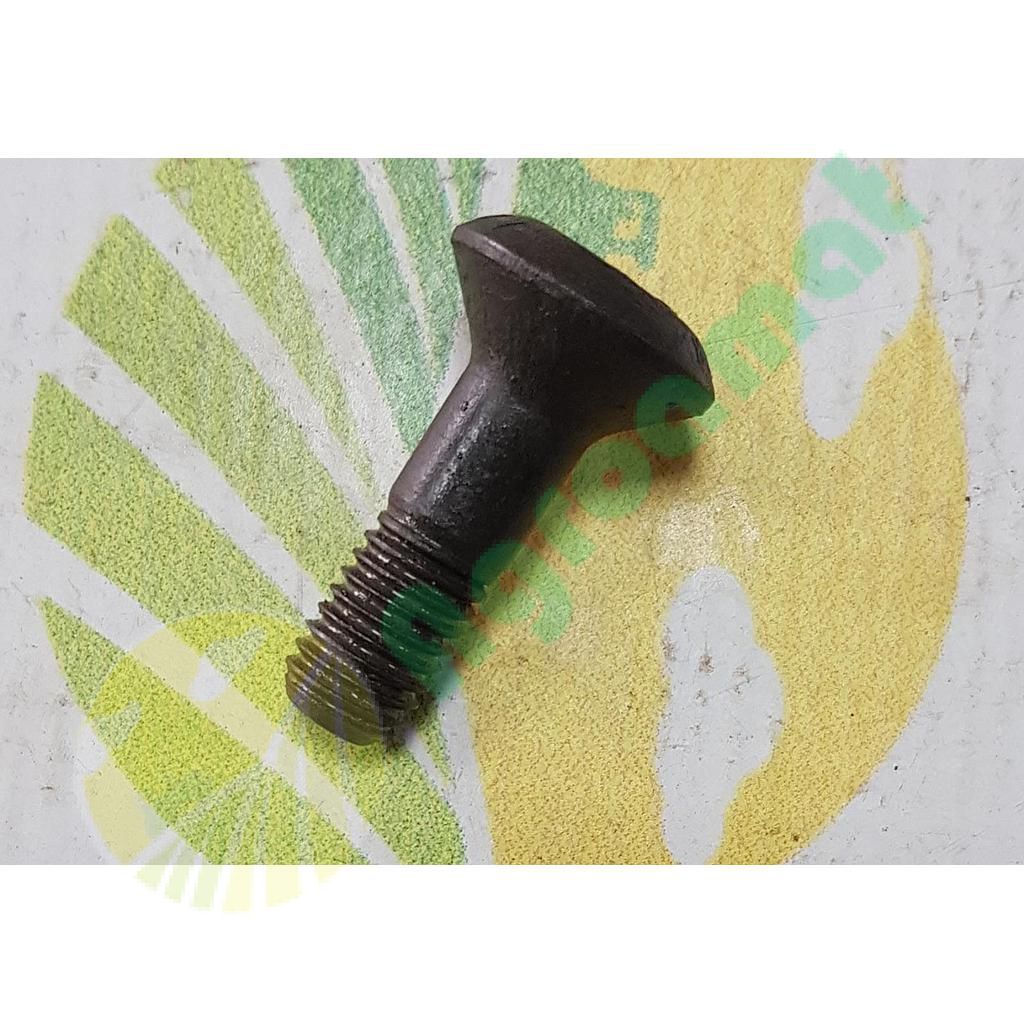Surub 10x36